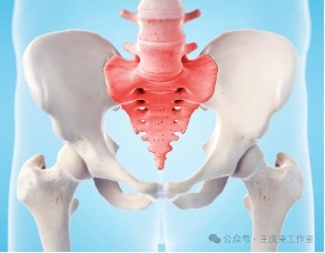 image.jpeg image.jpeg