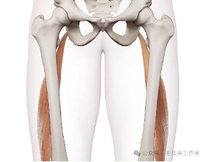 image.jpeg image.jpeg